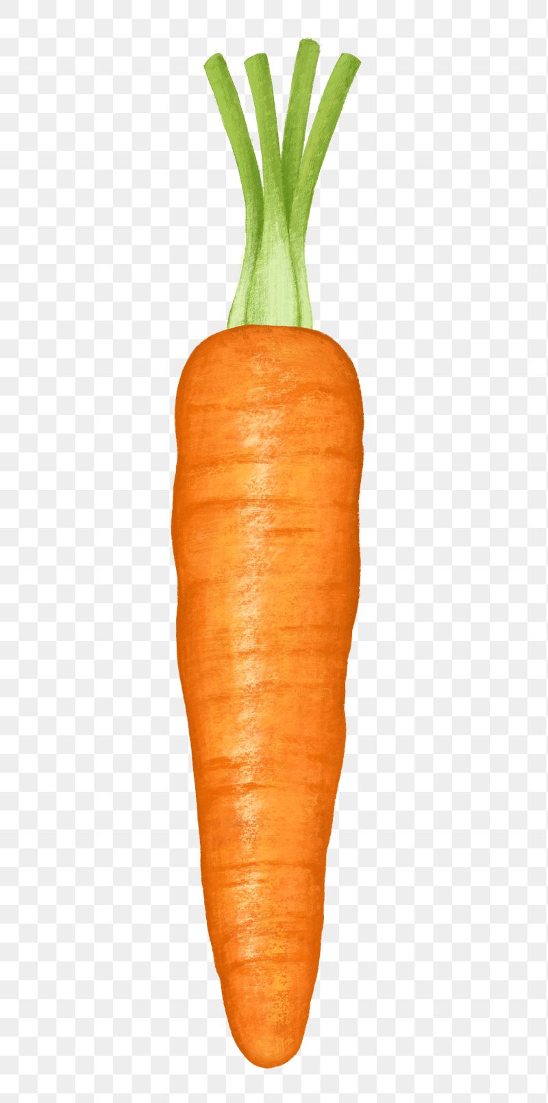 Carrot Sticker Images | Free Photos, PNG Stickers, Wallpapers ...