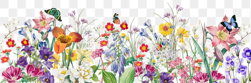 Floral Border Designs  Free Vector Graphics, Clip Art, PSD & PNG Frames &  Background Images - rawpixel