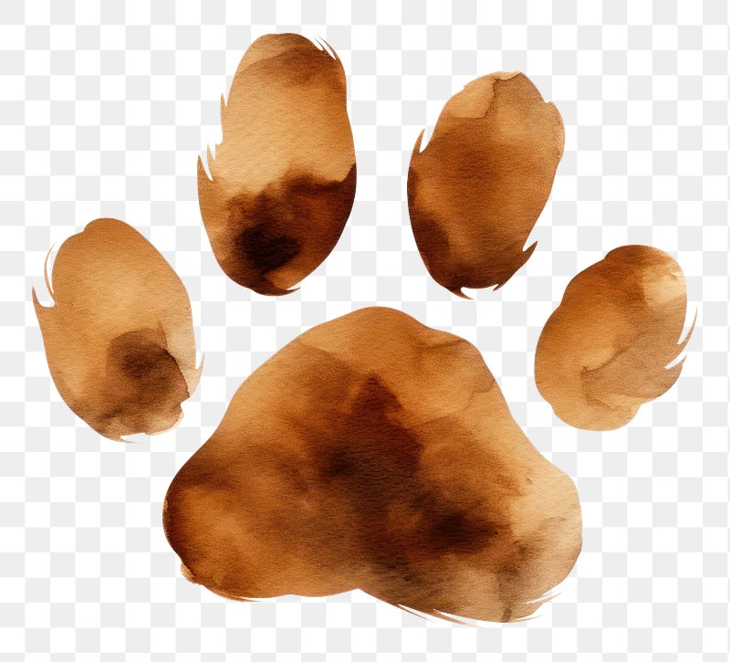 Paw Print Images  Free Photos, PNG Stickers, Wallpapers & Backgrounds -  rawpixel