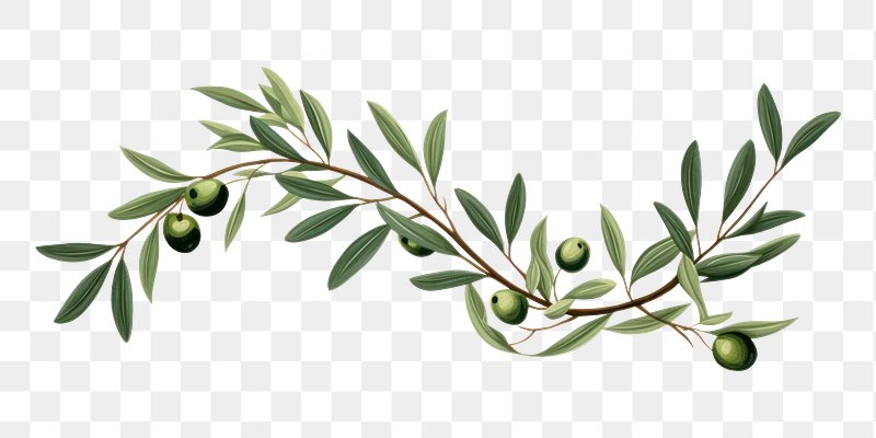Olive Green Aesthetic Wallpaper Images  Free Photos, PNG Stickers,  Wallpapers & Backgrounds - rawpixel