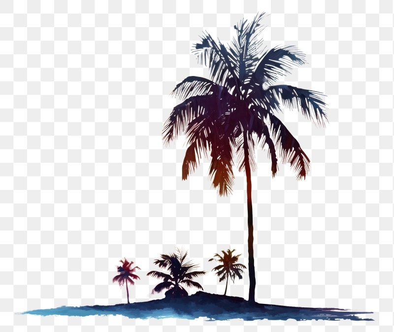 Coconut PNG Palm Tree Images | Free Photos, PNG Stickers, Wallpapers ...