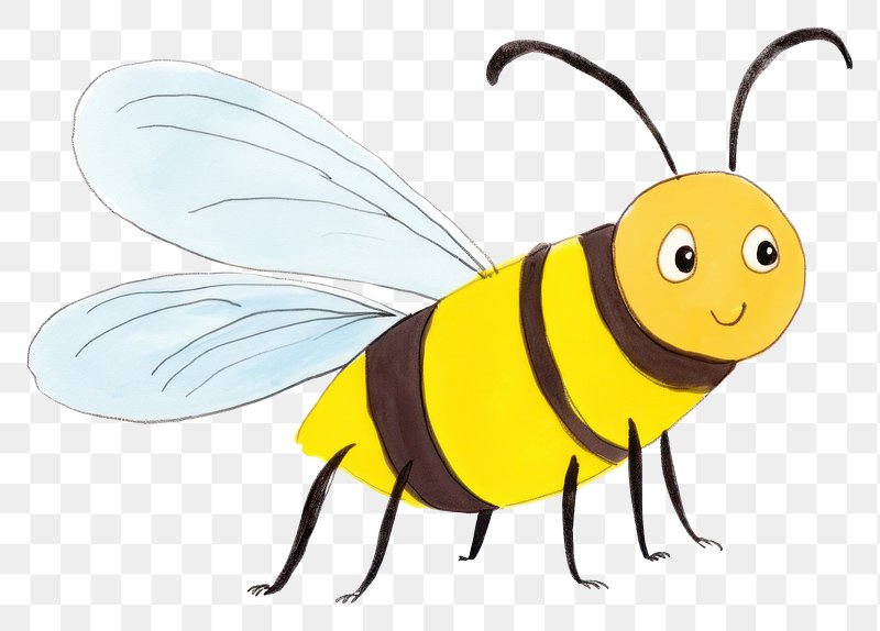 Honey Bee Images Free Photos, PNG Stickers, Wallpapers