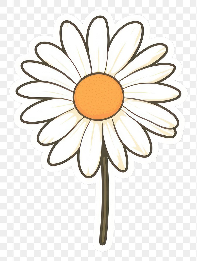 white daisy flower clipart cartoon