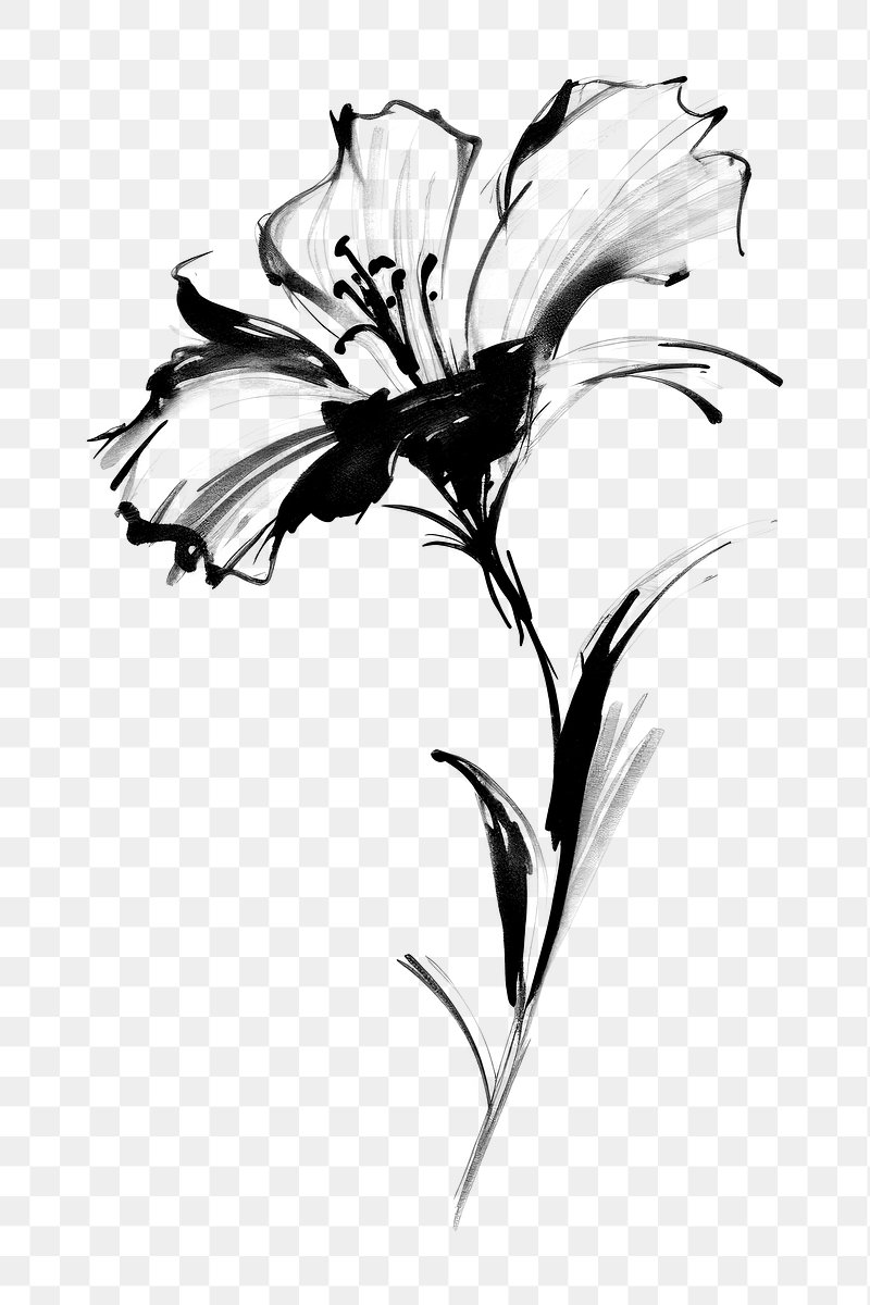 Free Vector line art and hand drawing flower art black and white flat  design simple flower 22704769 Vector Art at Vecteezy