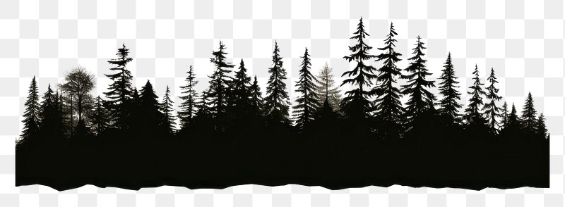 Pine Tree Silhouette Images | Free Photos, PNG Stickers, Wallpapers ...