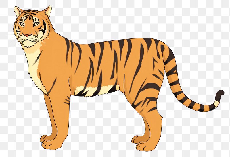 Cartoon Tiger Images  Free Photos, PNG Stickers, Wallpapers