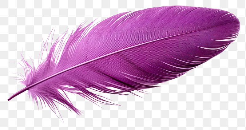 mardi gras feathers 24090625 PNG