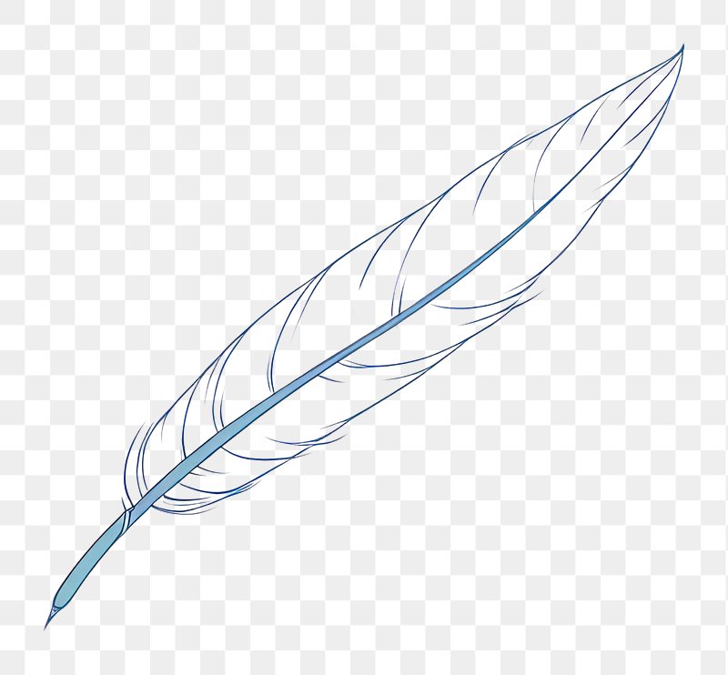Black Feather Transparent Images  Free Photos, PNG Stickers, Wallpapers &  Backgrounds - rawpixel