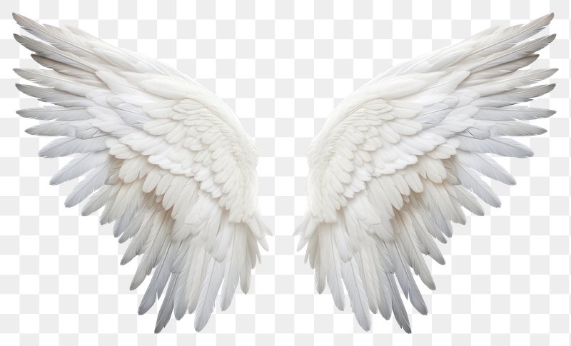 38,714 Angel Wings Stock Photos - Free & Royalty-Free Stock Photos from  Dreamstime