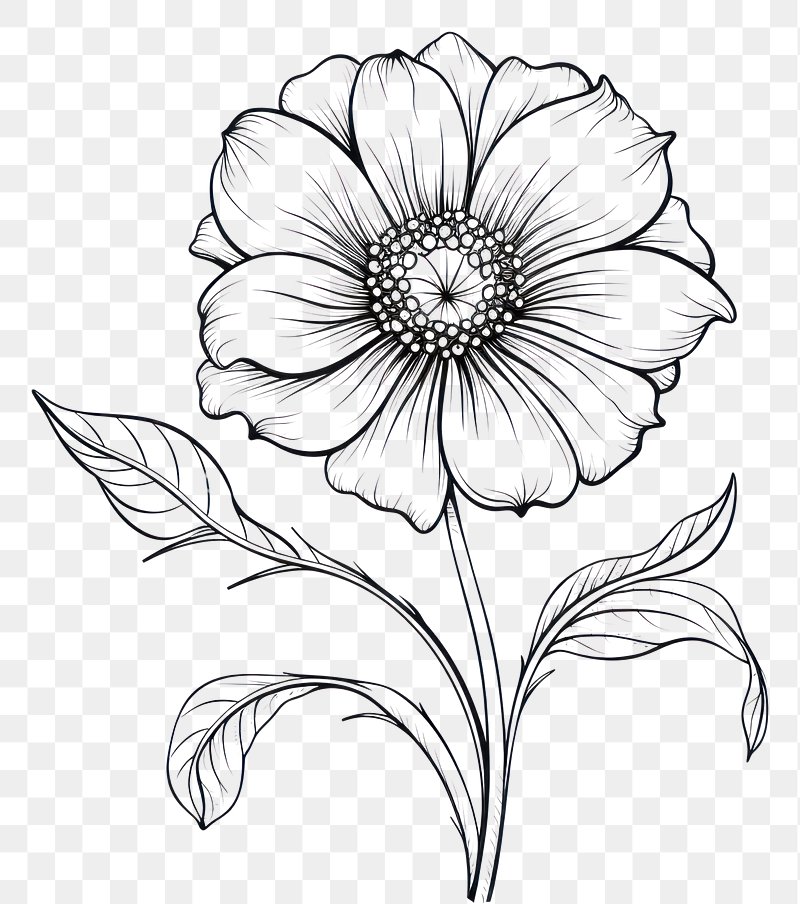 Free Black And White Pencil Drawings Of Flowers, Download Free Black And  White Pencil Drawings Of Flowers png images, Free ClipArts on Clipart  Library