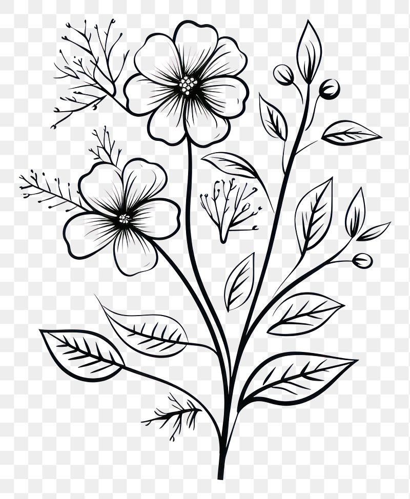 Fine flower sketch design - Designsketch.in-saigonsouth.com.vn