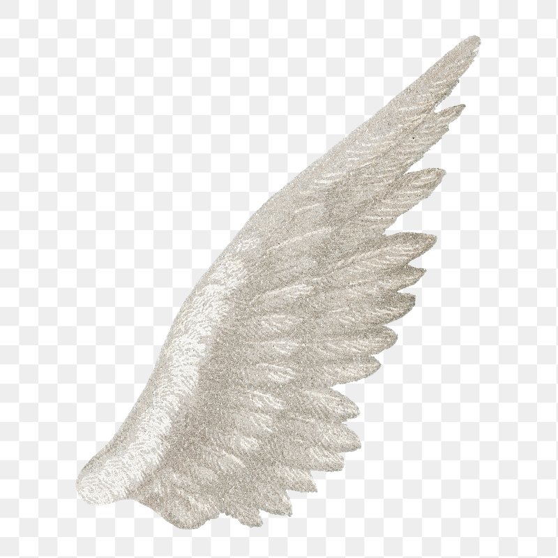 Angel Wings Images  Free Photos, PNG Stickers, Wallpapers