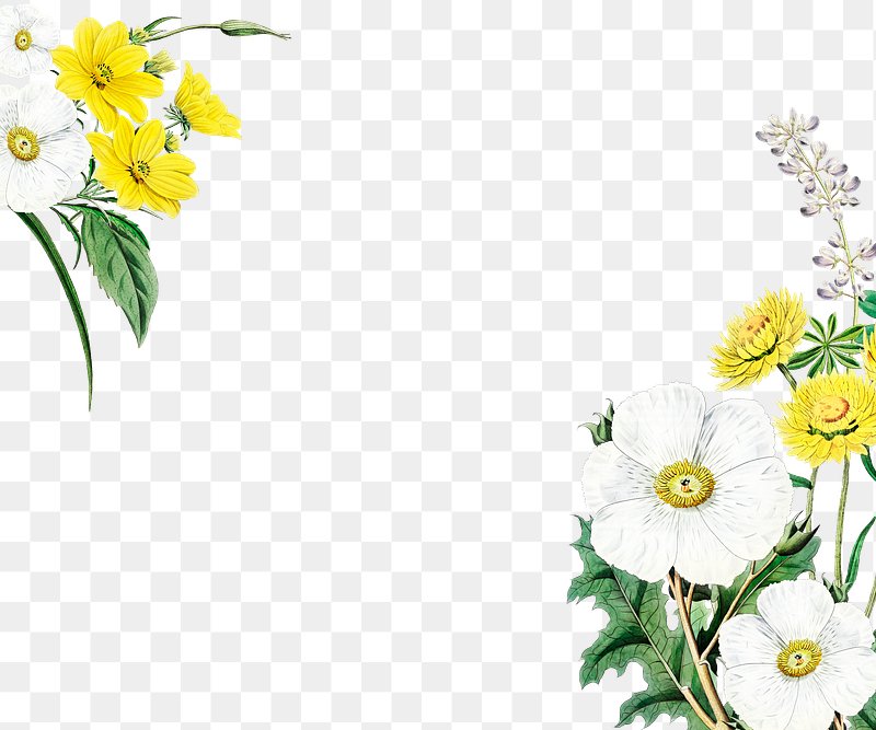 Yellow Flower Images | Free HD Backgrounds, PNGs, Vector Graphics,  Illustrations & Templates - rawpixel