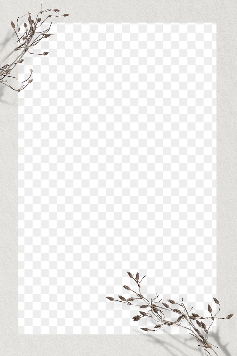 White Frame Designs | Free Vector Graphics, Clip Art, PSD & PNG Frames &  Background Images - rawpixel