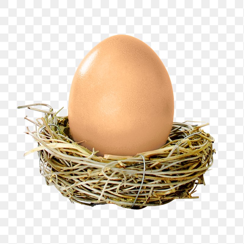Egg PNG Image - PurePNG  Free transparent CC0 PNG Image Library