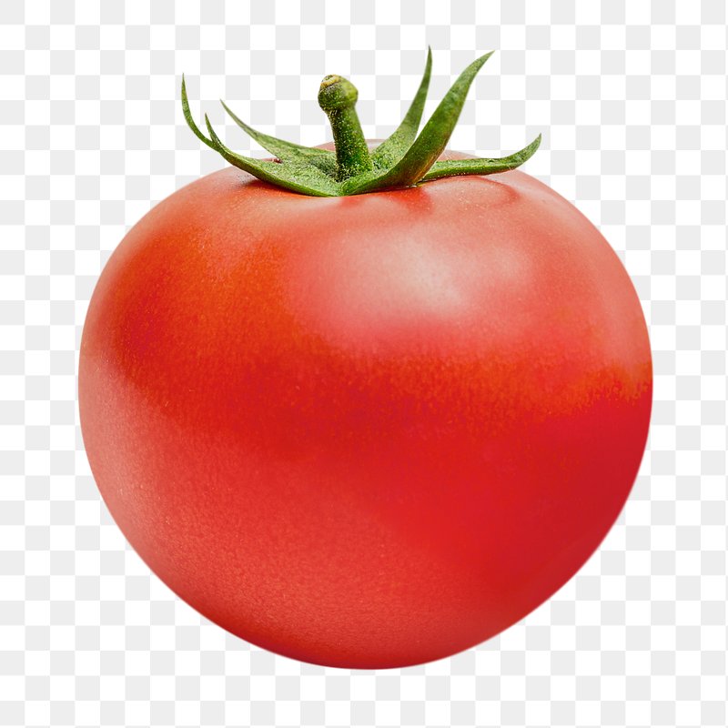 tomatoes clipart