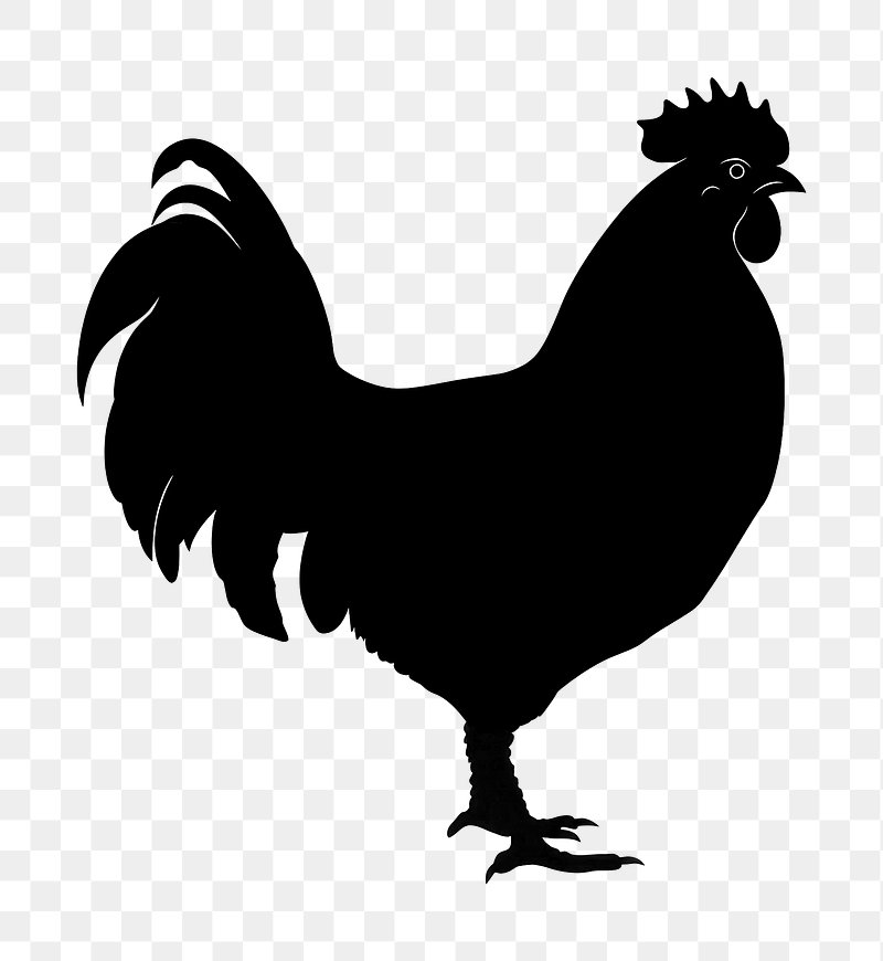 Chicken Silhouette Images | Free Photos, PNG Stickers, Wallpapers ...