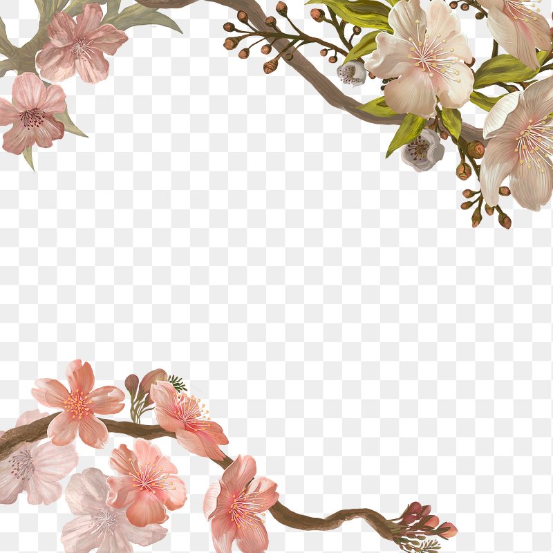 Sakura PNG Images  Free Photos, PNG Stickers, Wallpapers