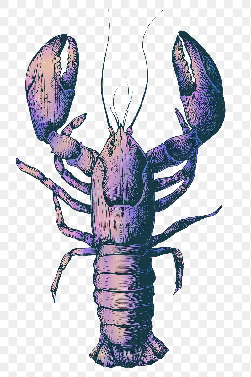 lobster dinner clipart