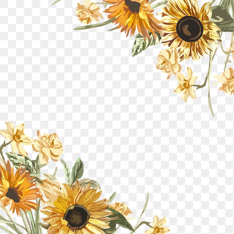 Free Free 213 Clear Background Sunflower Clipart Transparent Transparent Sunflower Border Png SVG PNG EPS DXF File
