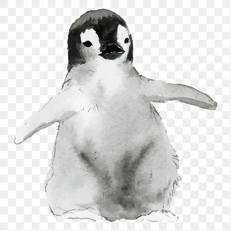 baby penguin wallpaper desktop