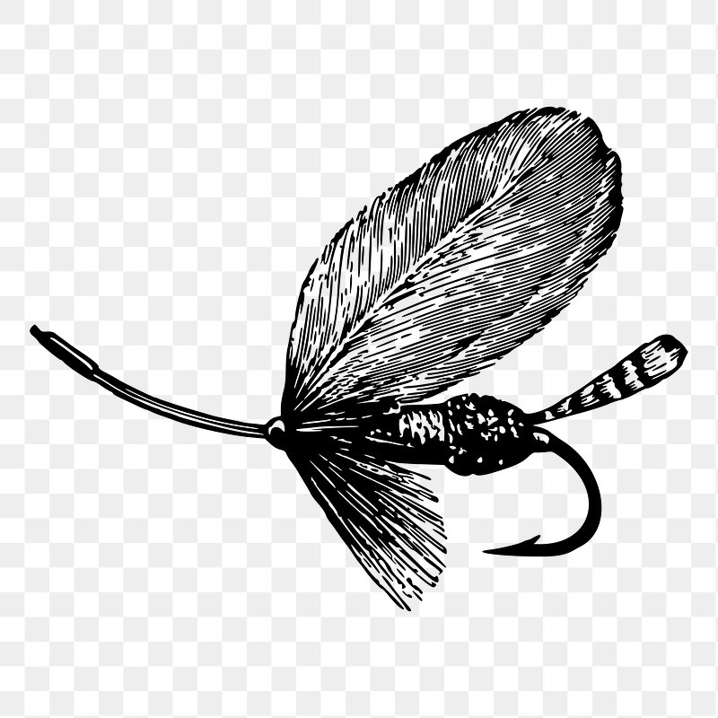 Fly Fishing Lures Images  Free Photos, PNG Stickers, Wallpapers