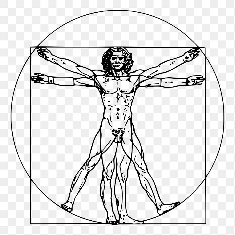 The Vitruvian man. You may not know his name, but you've… | by Alex Zeester  | Medium