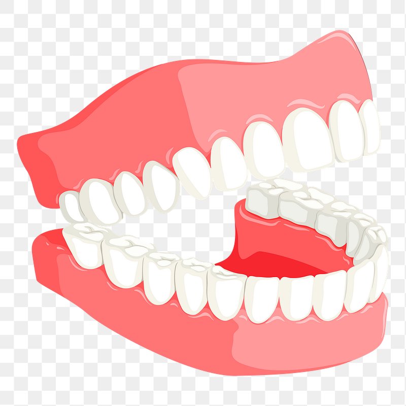 teeth cartoon clipart