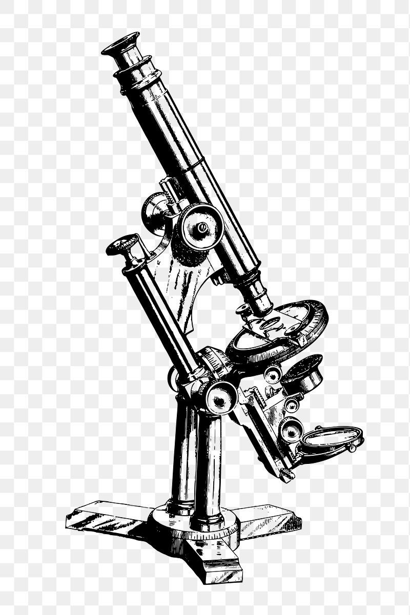 Drawing of Anton van Leewenhoek's microscope - Stock Image - H505/0012 -  Science Photo Library