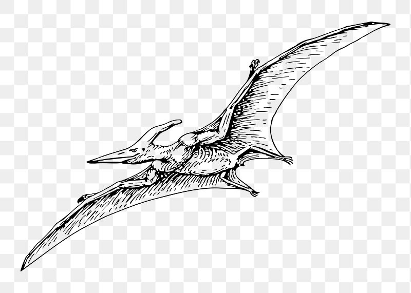 Cute Dinosaur Pterodactyl, Dinosaur, Cartoon, Monster PNG Transparent Image  and Clipart for Free Download