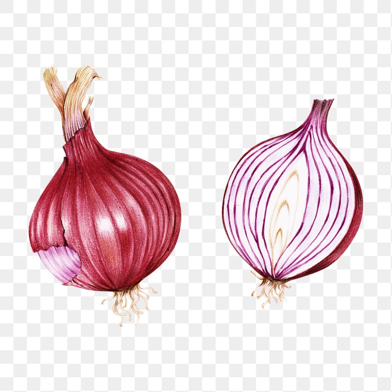 onion png