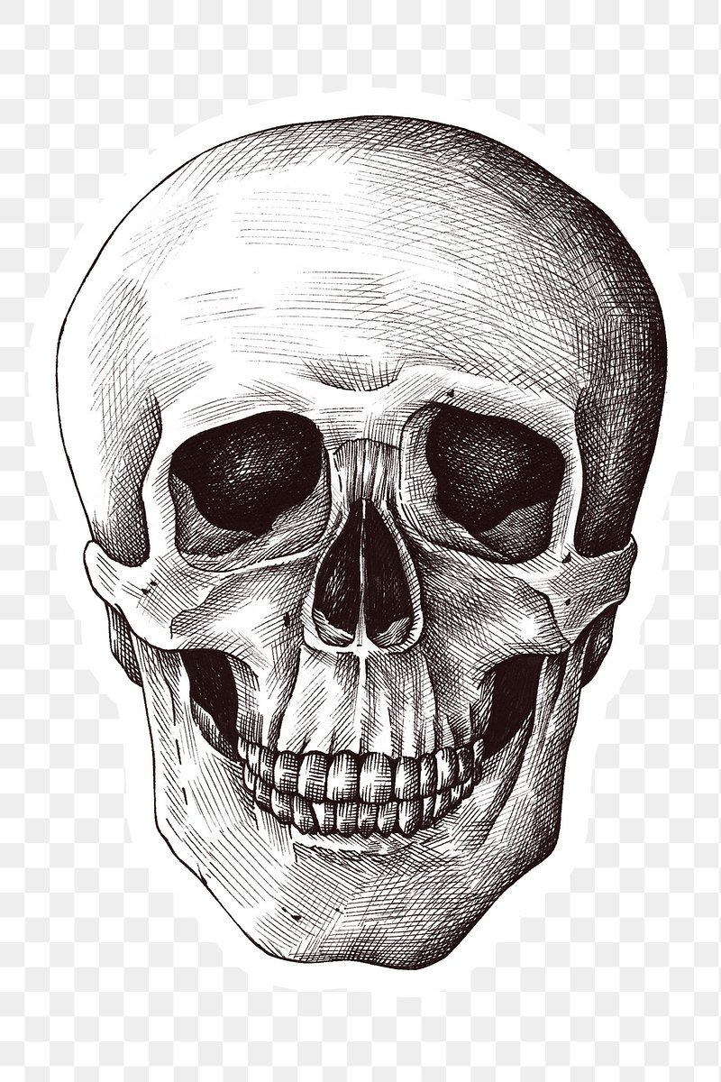 Premium Vector  Human skull on glitching display.