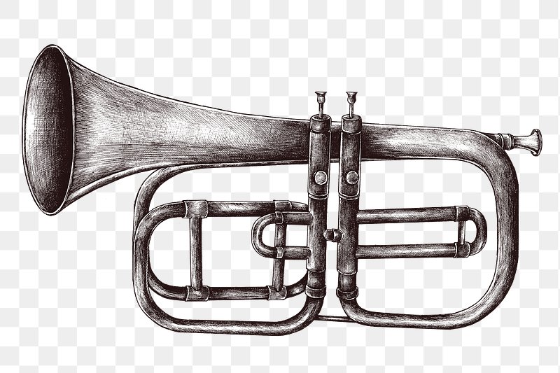 Premium Vector  Trumpet jazz musical instrument silhouette