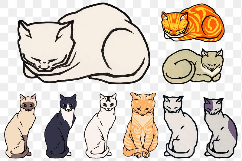 Cat Icon Images  Free Photos, PNG Stickers, Wallpapers & Backgrounds -  rawpixel