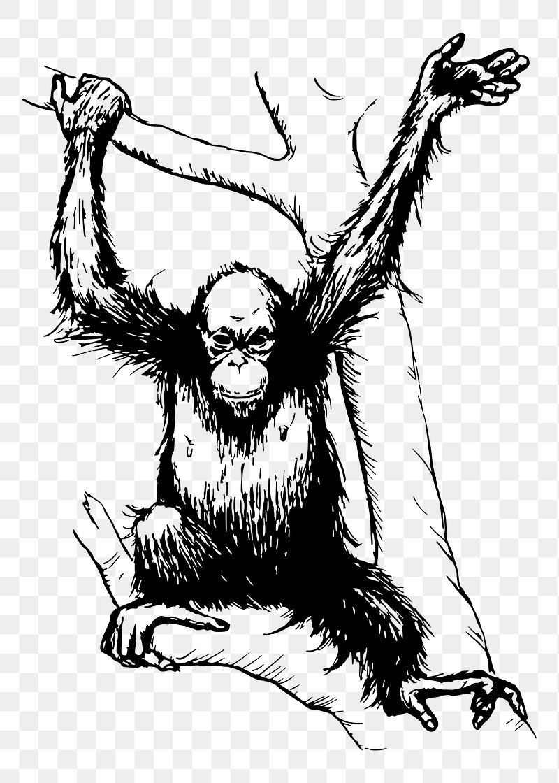 City's stressed monkey Drawing by Mario Denotti | Saatchi Art