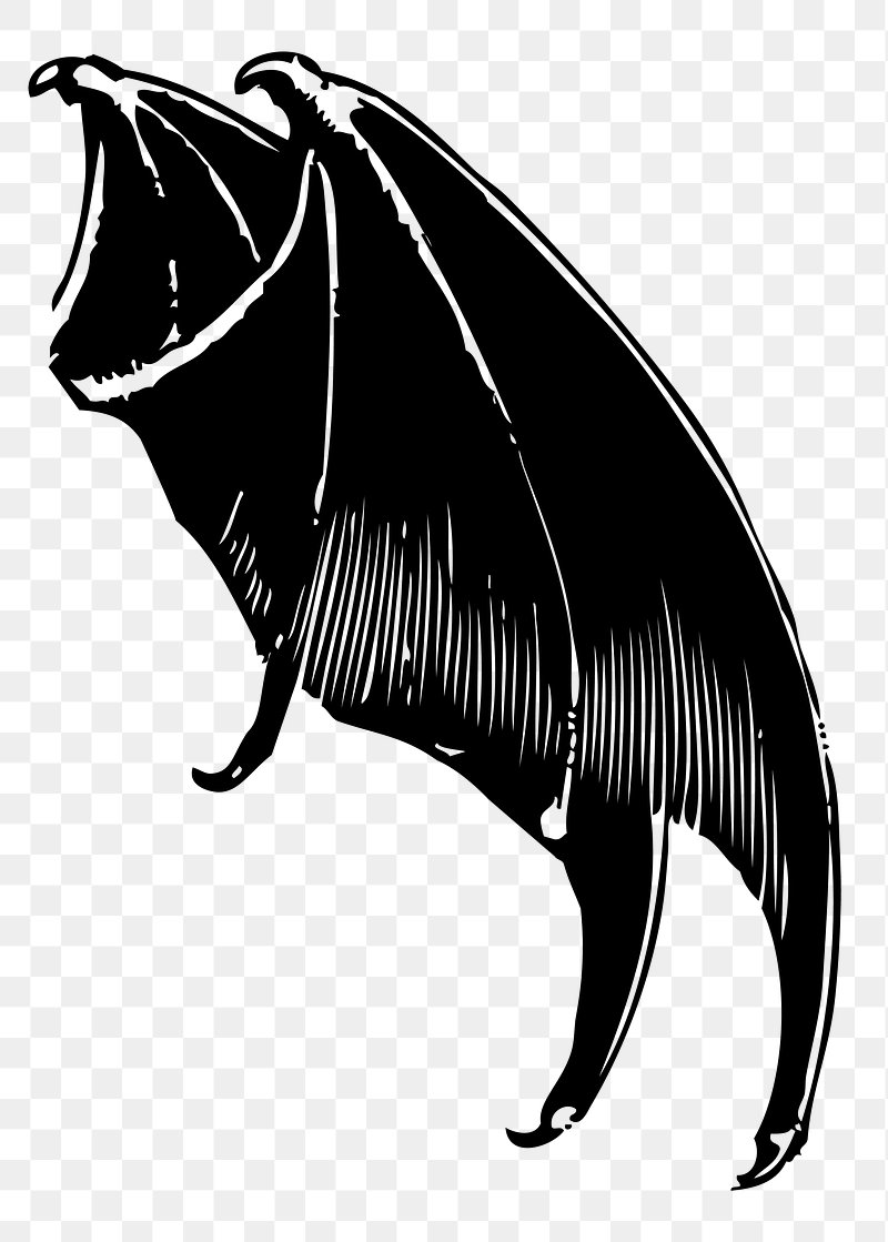 Demon Png Free Download - Dragon Wings From The Side PNG Image
