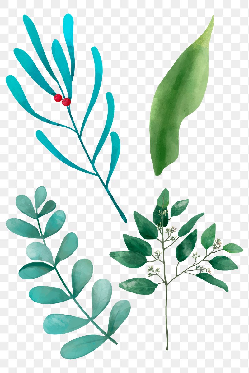 Green leaves sticker png watercolor | Free PNG - rawpixel