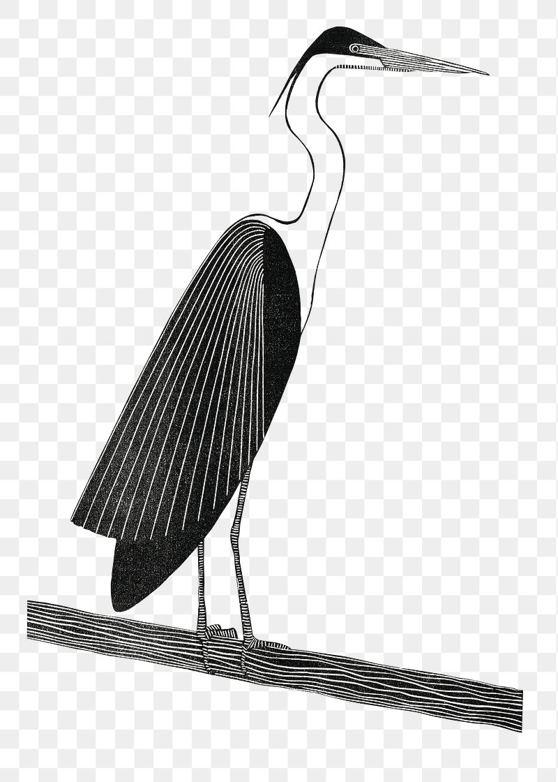 Vintage giant heron png animal | Free PNG Sticker - rawpixel