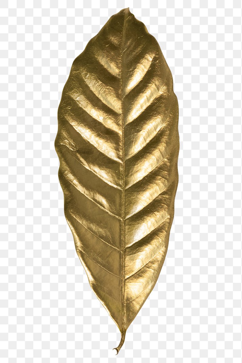 Luxury Gold PNG Transparent, Luxury Gold Leaves, Luxury, Gold, Leaves PNG  Image For Free Download