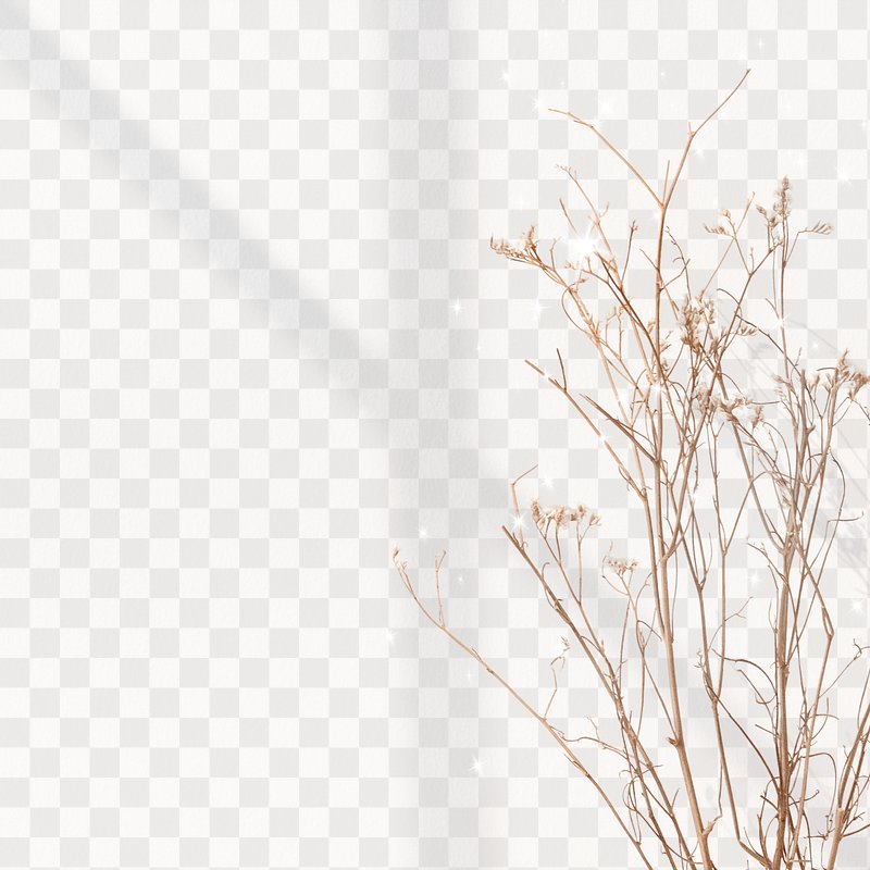 Transparent PNG Images | Free PNG Vector Graphics, Effects