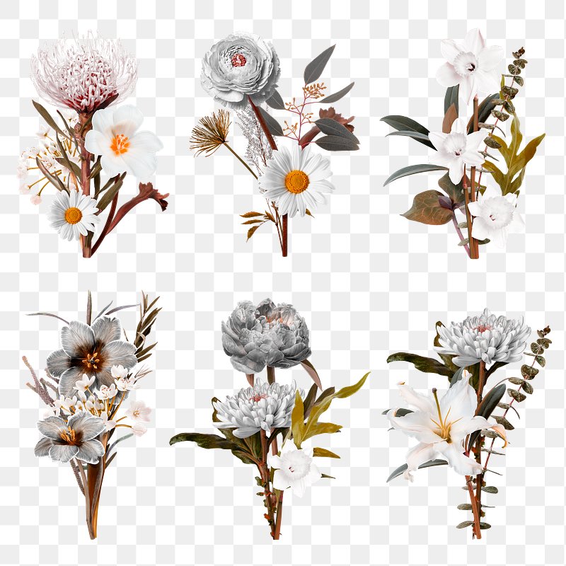 Botanical Flower Stickers