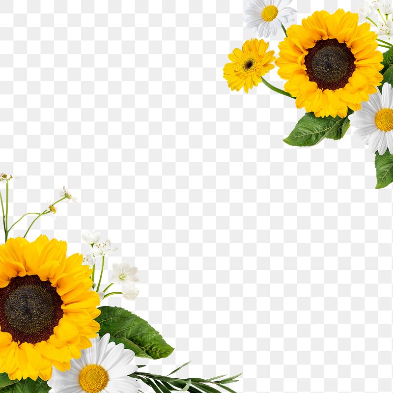 yellow floral backgrounds