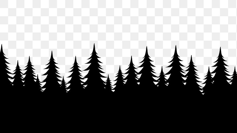 pine trees forest silhouette