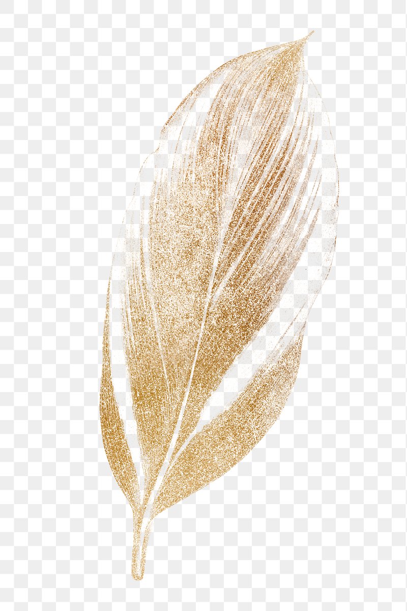 Gold Leaves PNG Gold Botanical Elements Leaf Clipart 