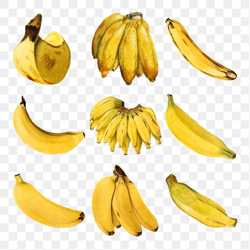 48 Banana Png Designs & Graphics