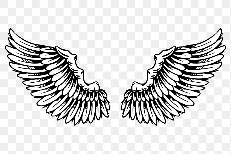 Black Wings PNG Cutout - PNG All
