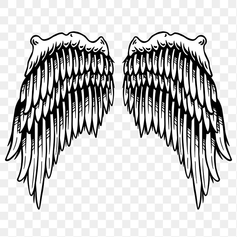 Wings outline sticker overlay design | Premium PNG Sticker - rawpixel