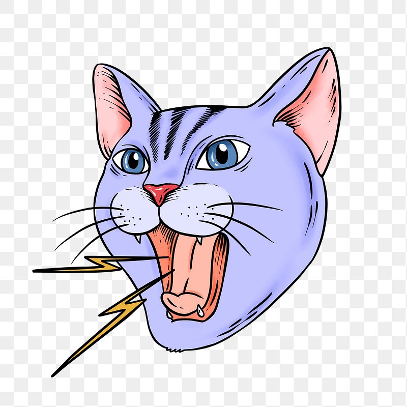 Angry Cat Drawing PNG, Vector, PSD, and Clipart With Transparent