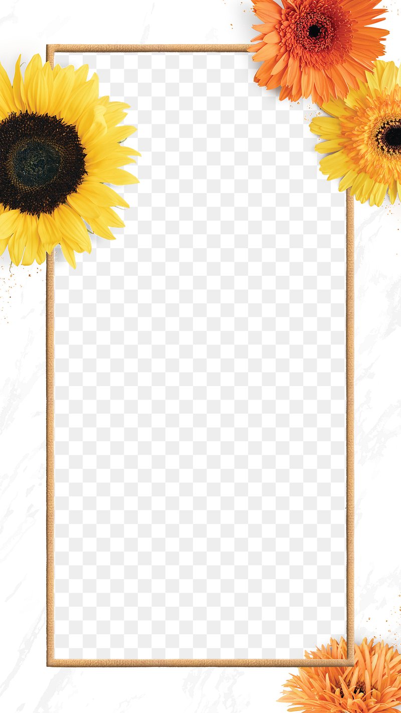 Gold rectangle blooming sunflower frame | Free PNG - rawpixel