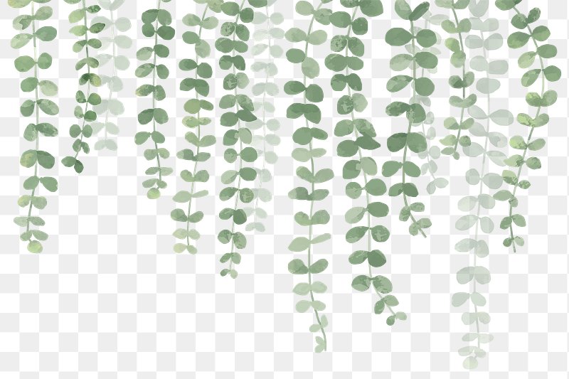 Transparent background png images